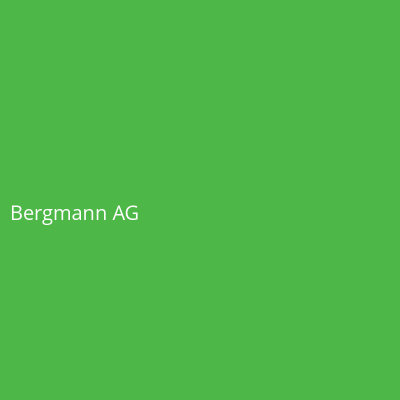 Bergmann AG