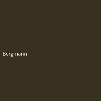 Bergmann