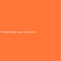 Mittelm&auml;&szlig;iger Samt-Handschuh