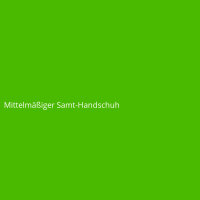 Mittelm&auml;&szlig;iger Samt-Handschuh