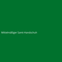 Mittelm&auml;&szlig;iger Samt-Handschuh